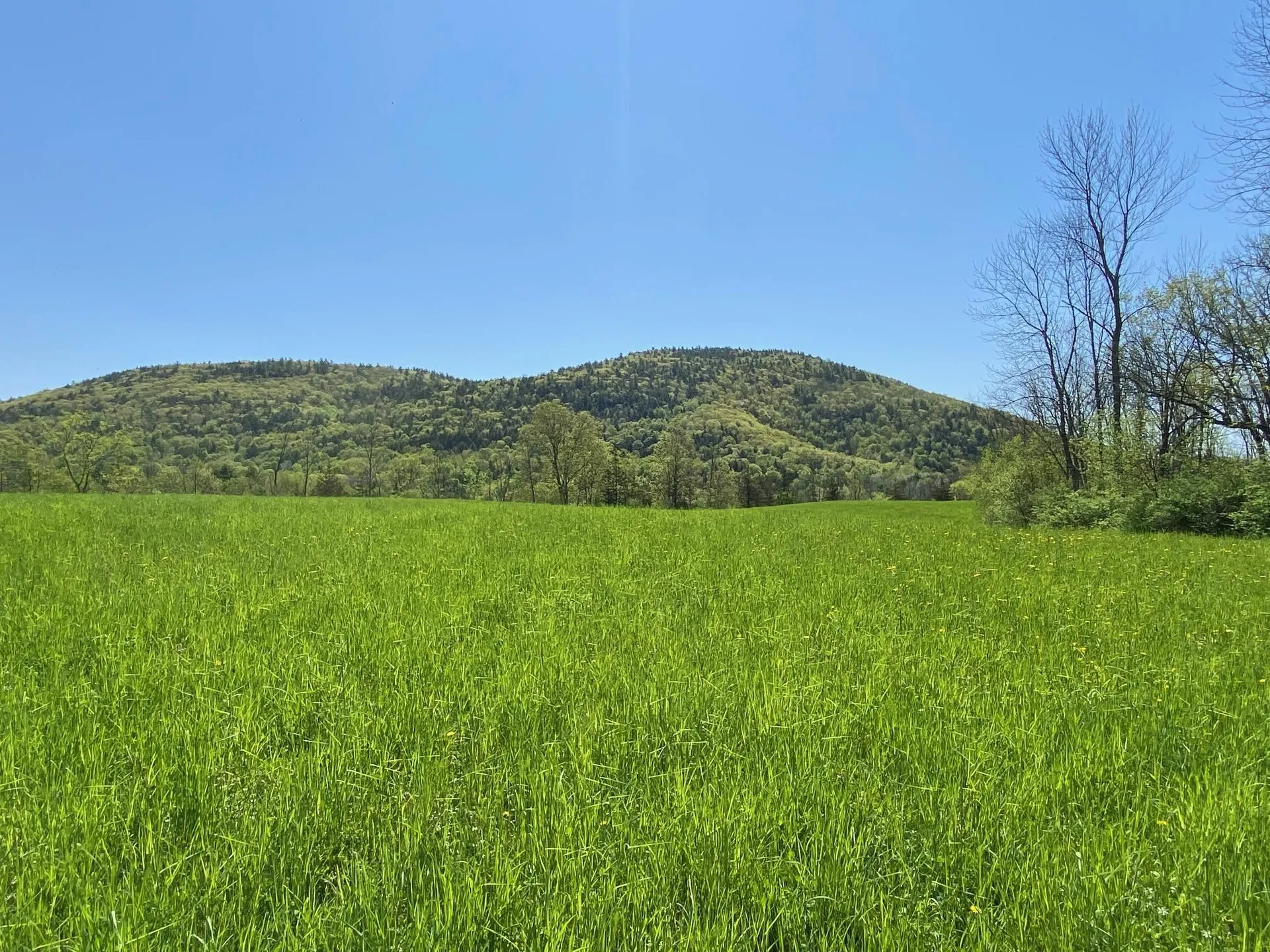 7998 Main Road West Haven VT 05743