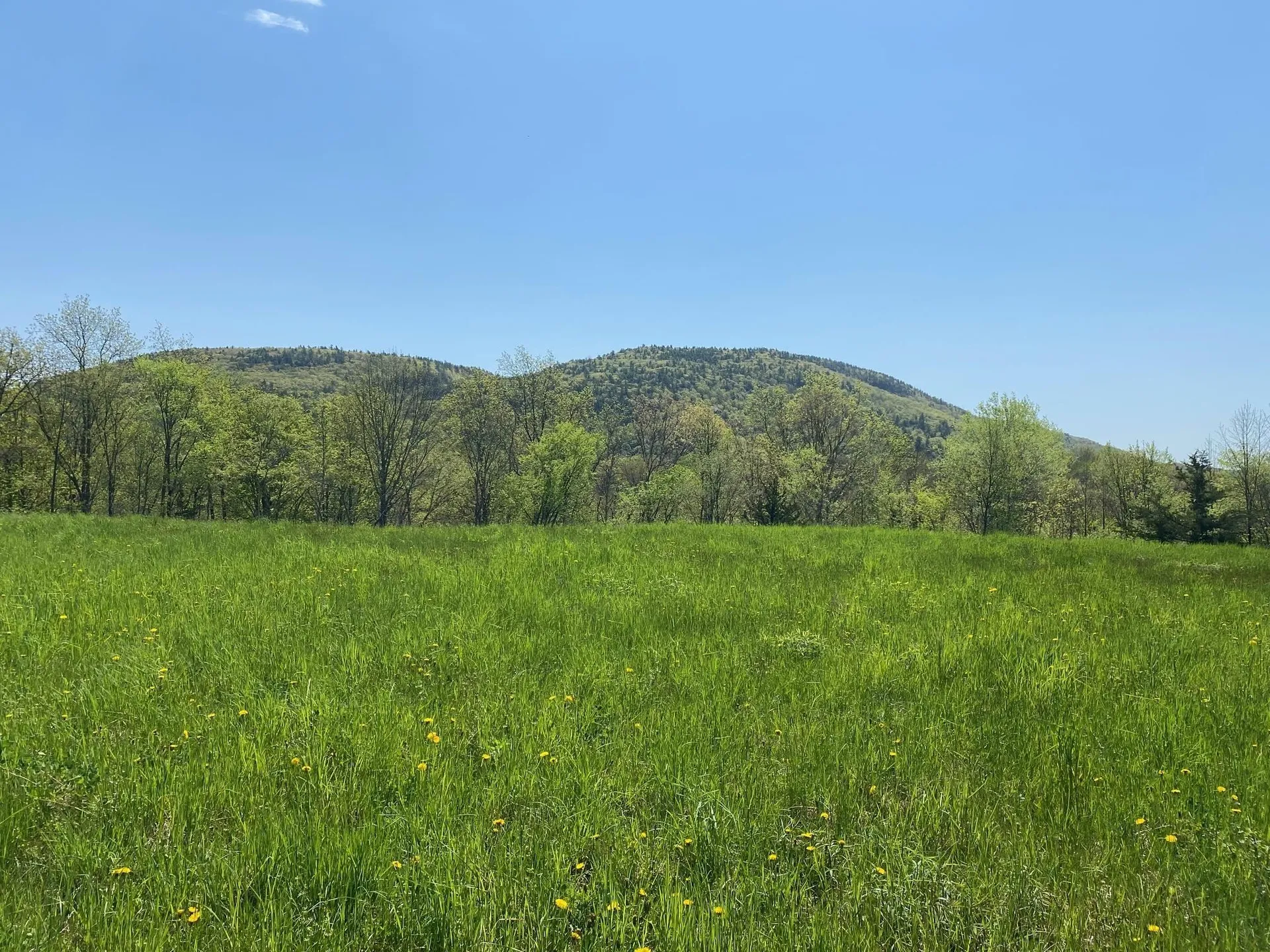 7998 Main Road West Haven VT 05743