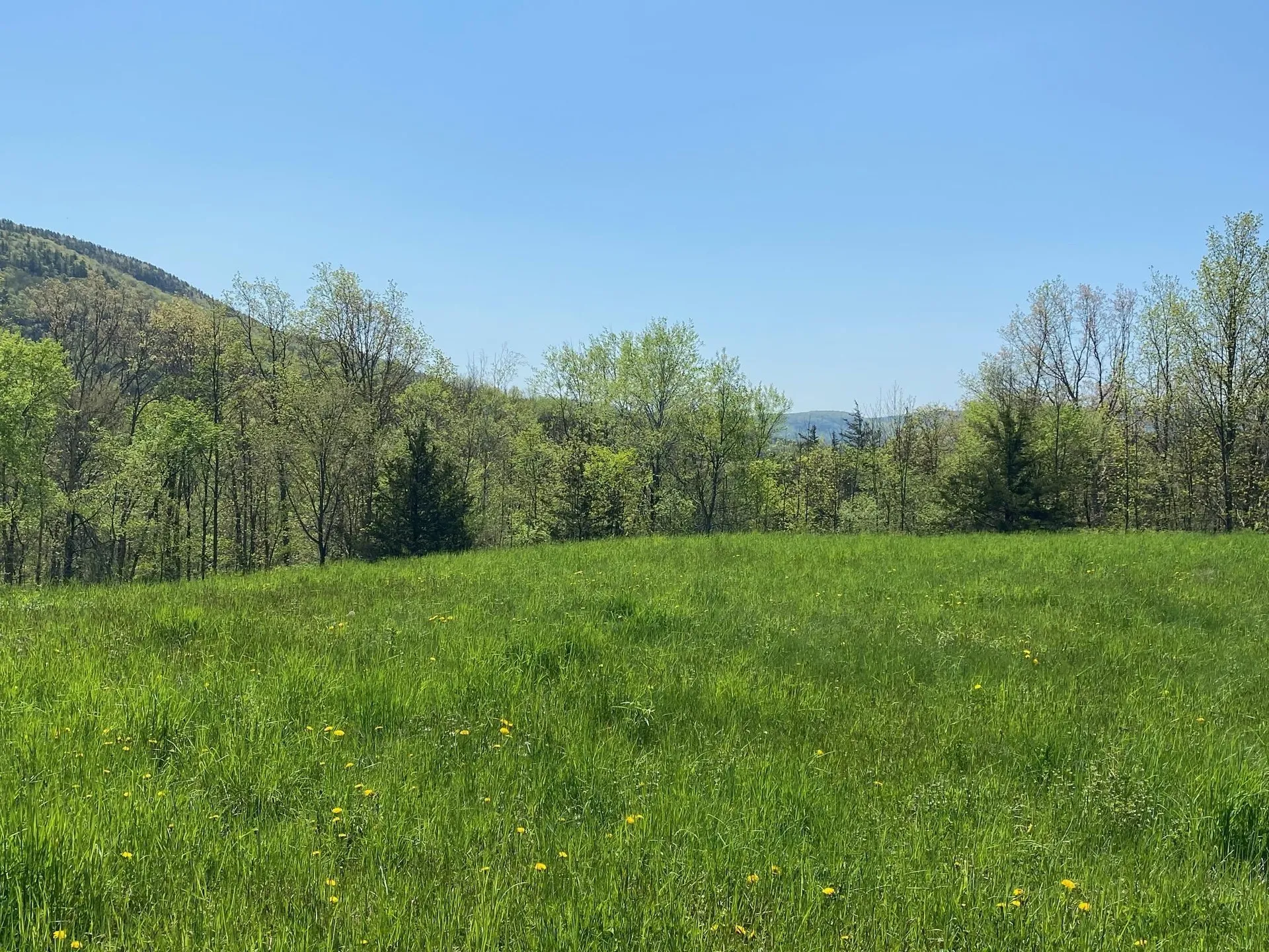 7998 Main Road West Haven VT 05743