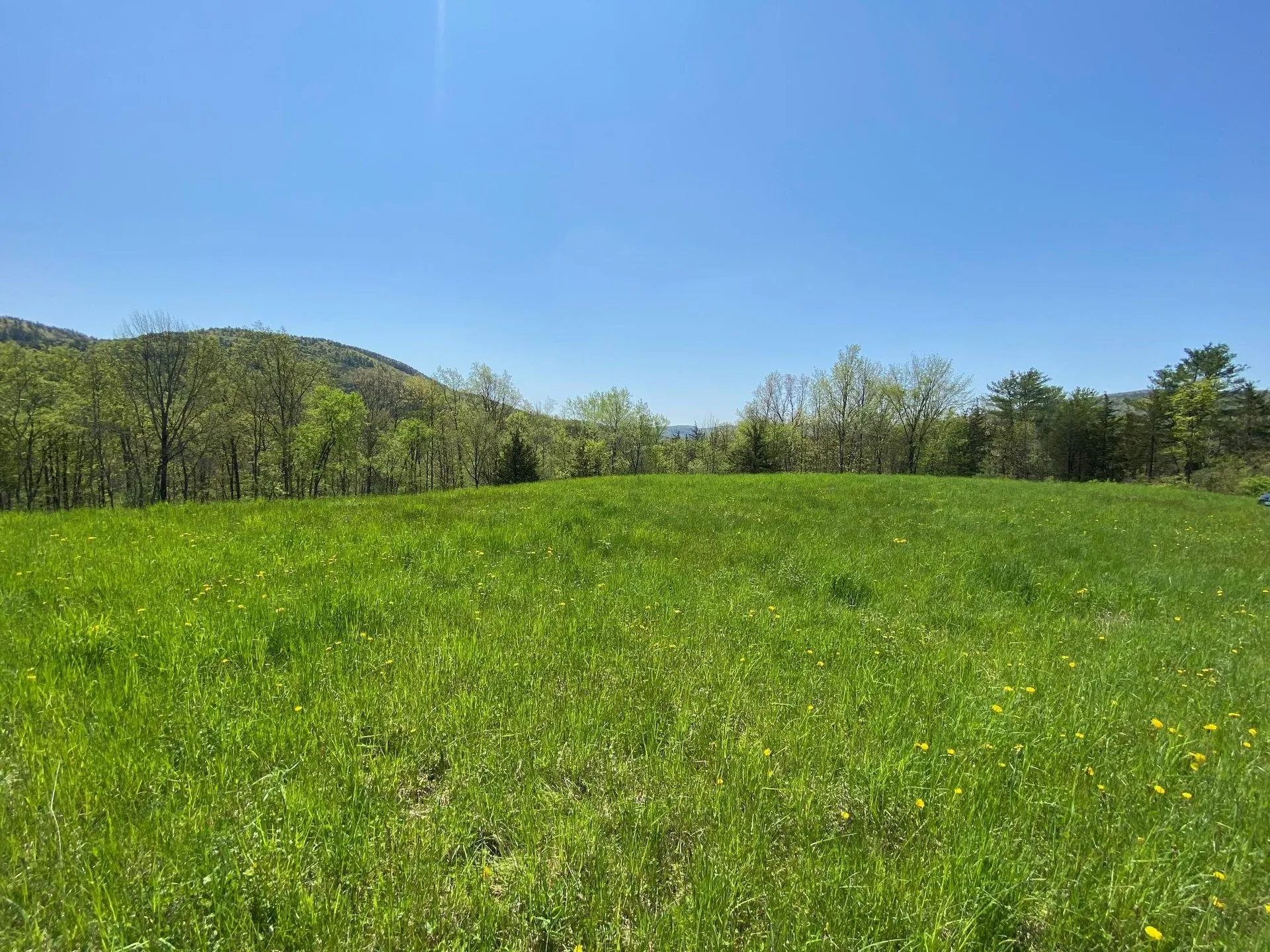 7998 Main Road West Haven VT 05743
