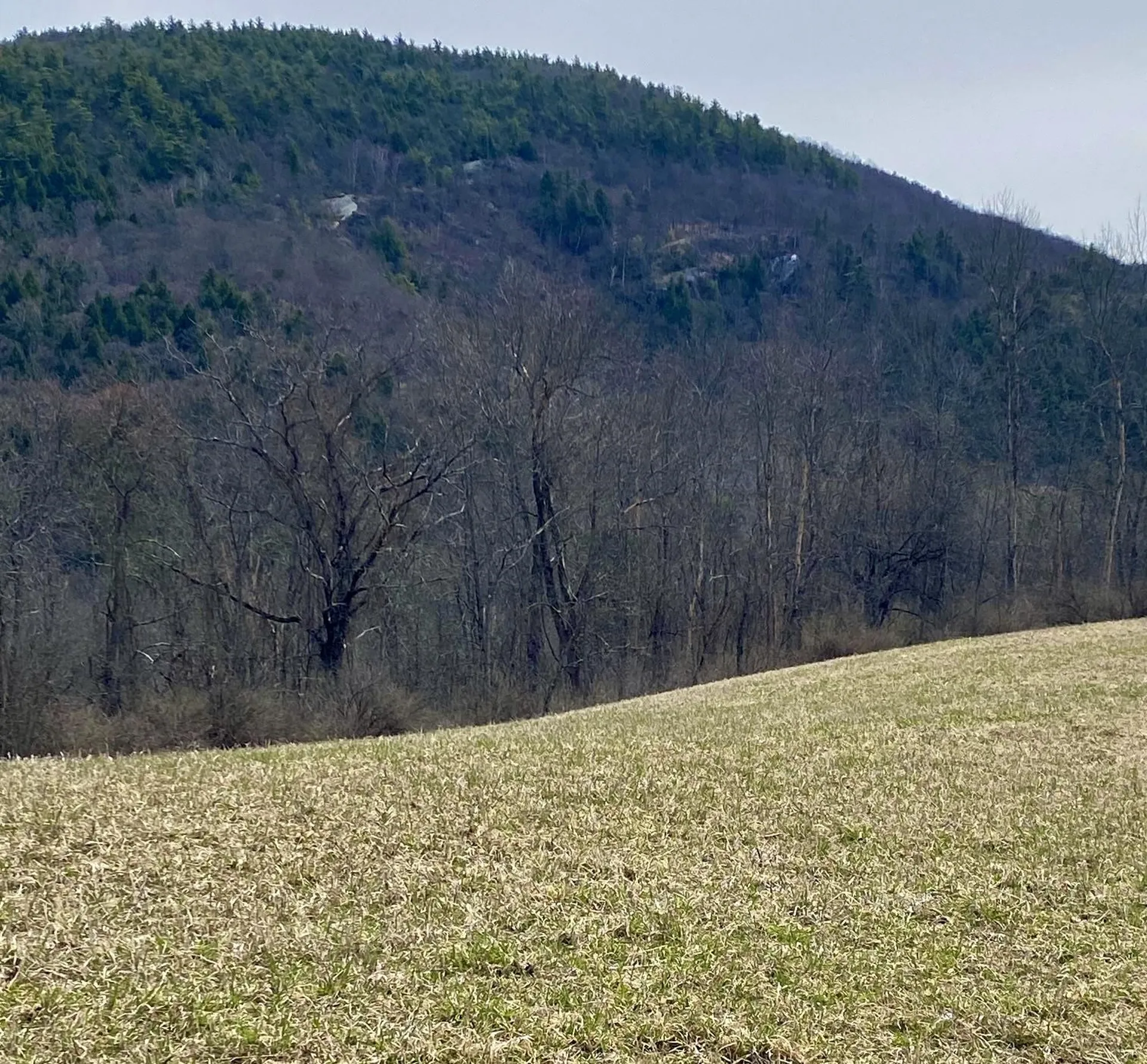 7998 Main Road West Haven VT 05743