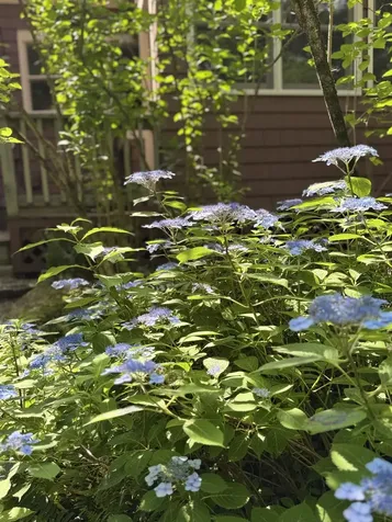 44 Neighbors Row Conway NH 03860