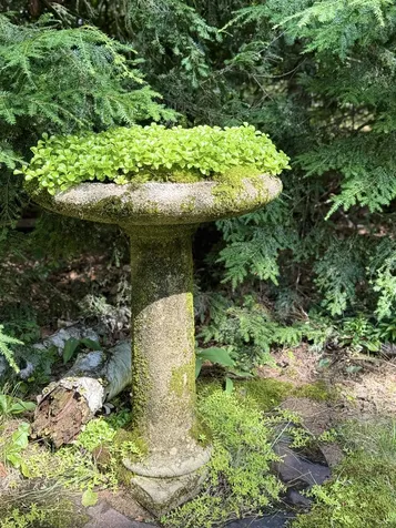 44 Neighbors Row Conway NH 03860