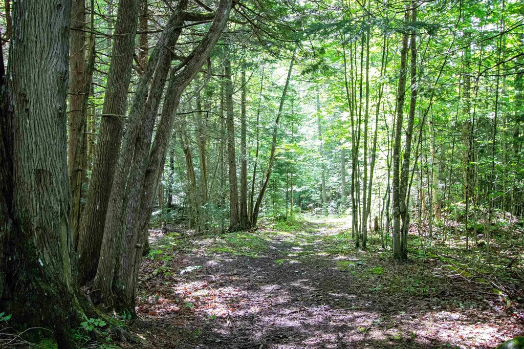 3147 Keiser Pond Road Danville VT 05828