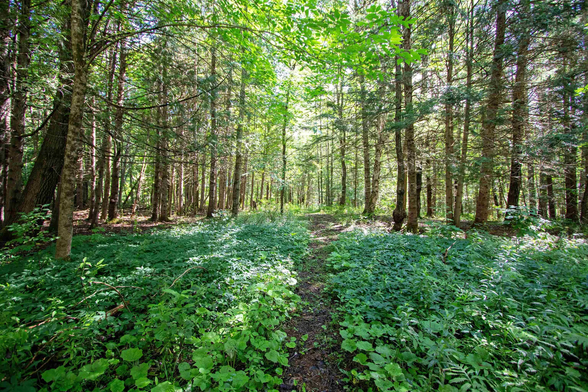 3147 Keiser Pond Road Danville VT 05828