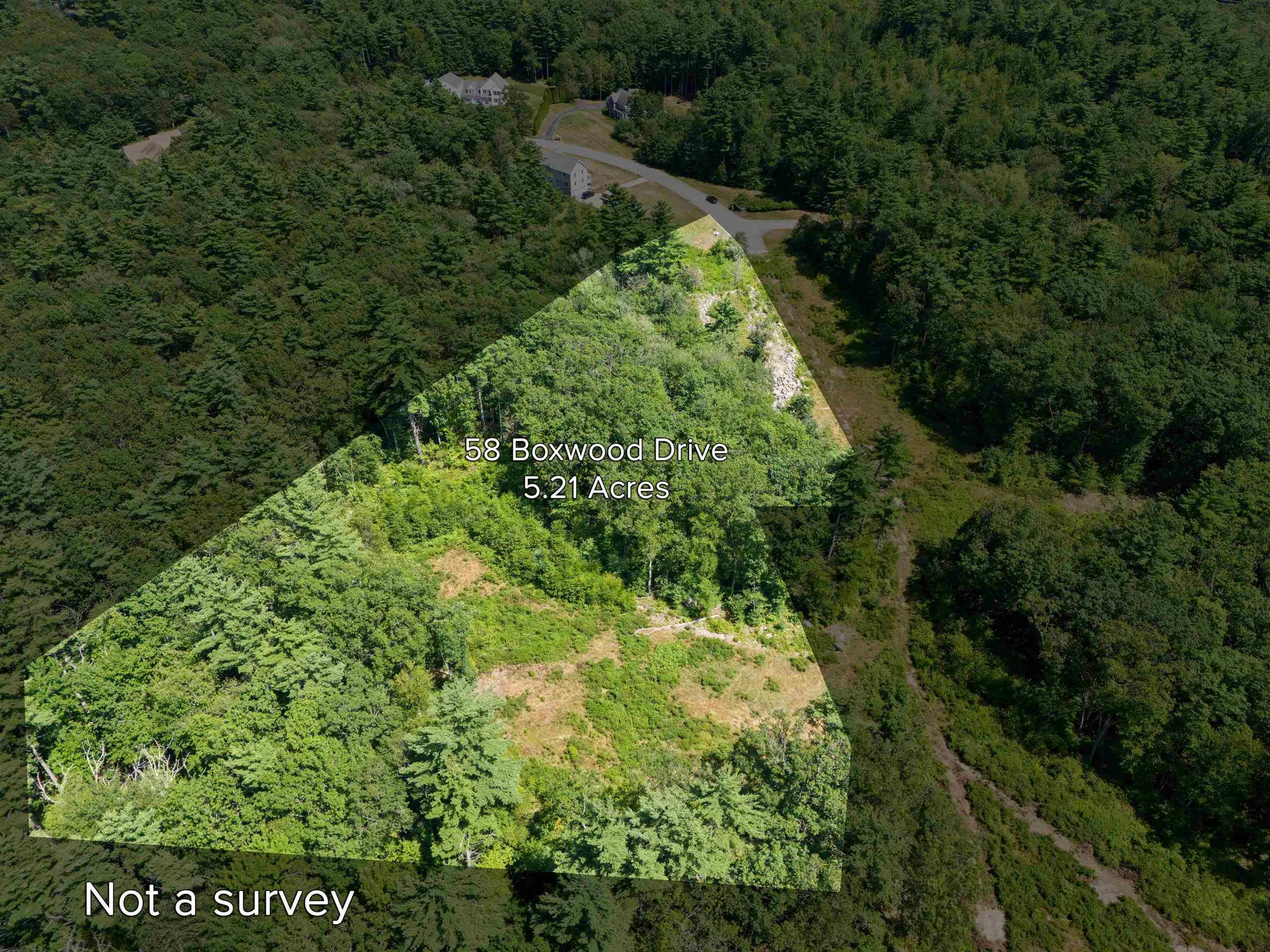 58 Boxwood Drive Auburn NH 03032