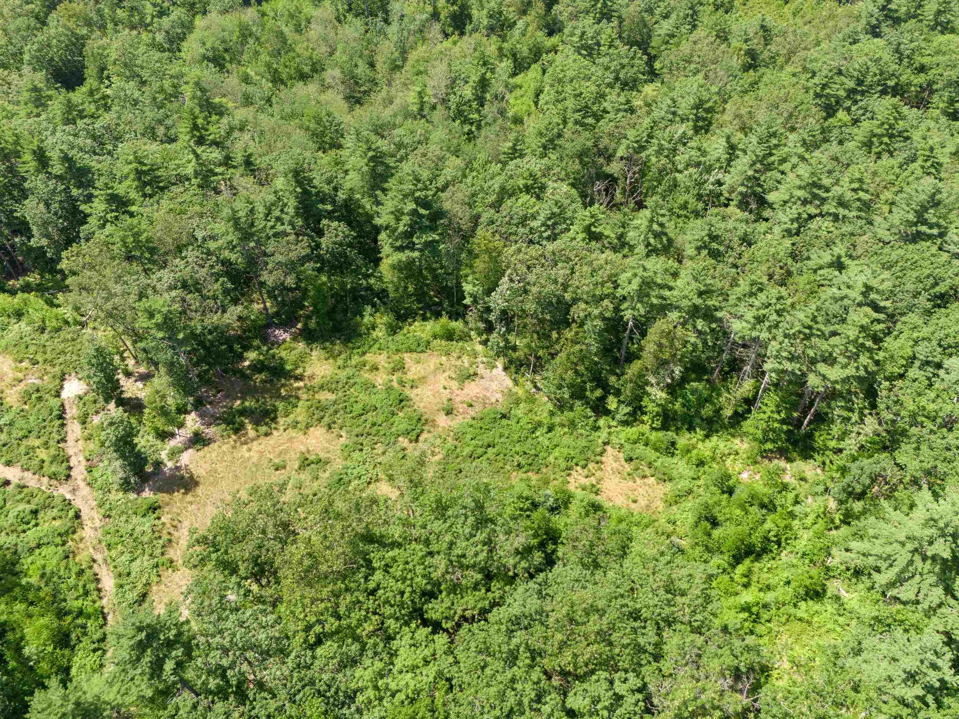 58 Boxwood Drive Auburn NH 03032