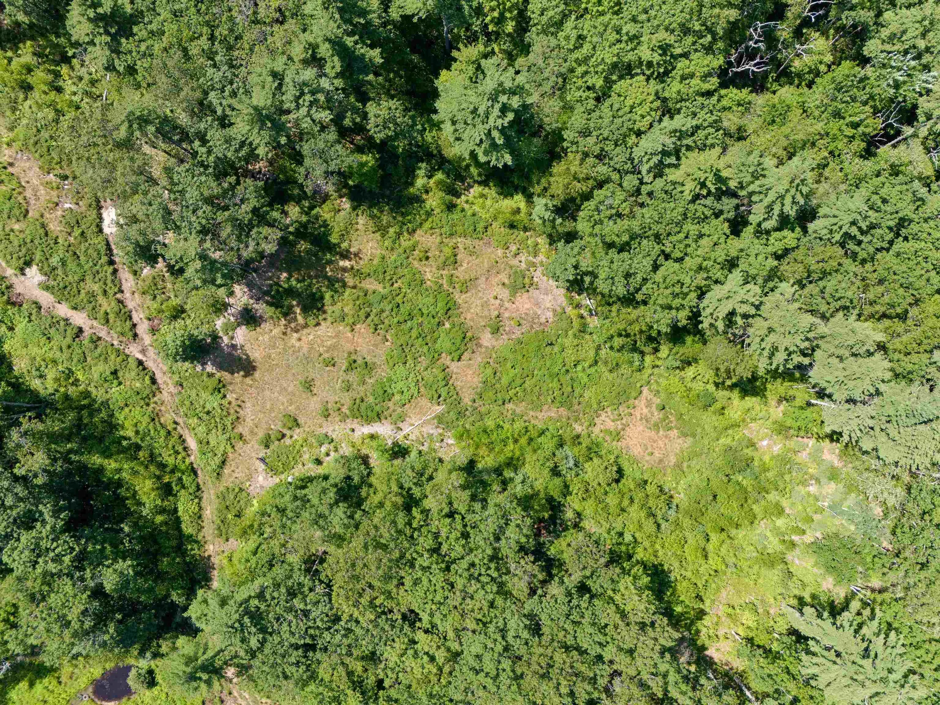 58 Boxwood Drive Auburn NH 03032