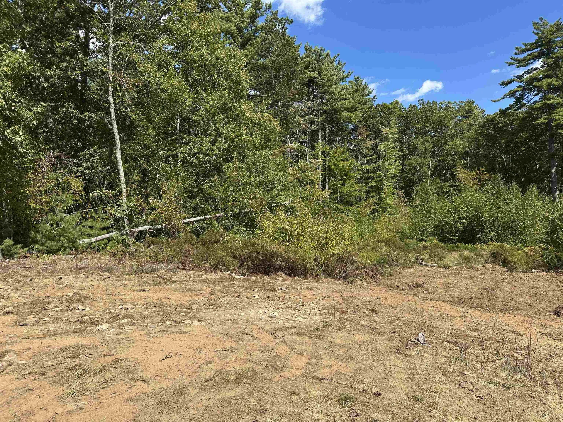 58 Boxwood Drive Auburn NH 03032