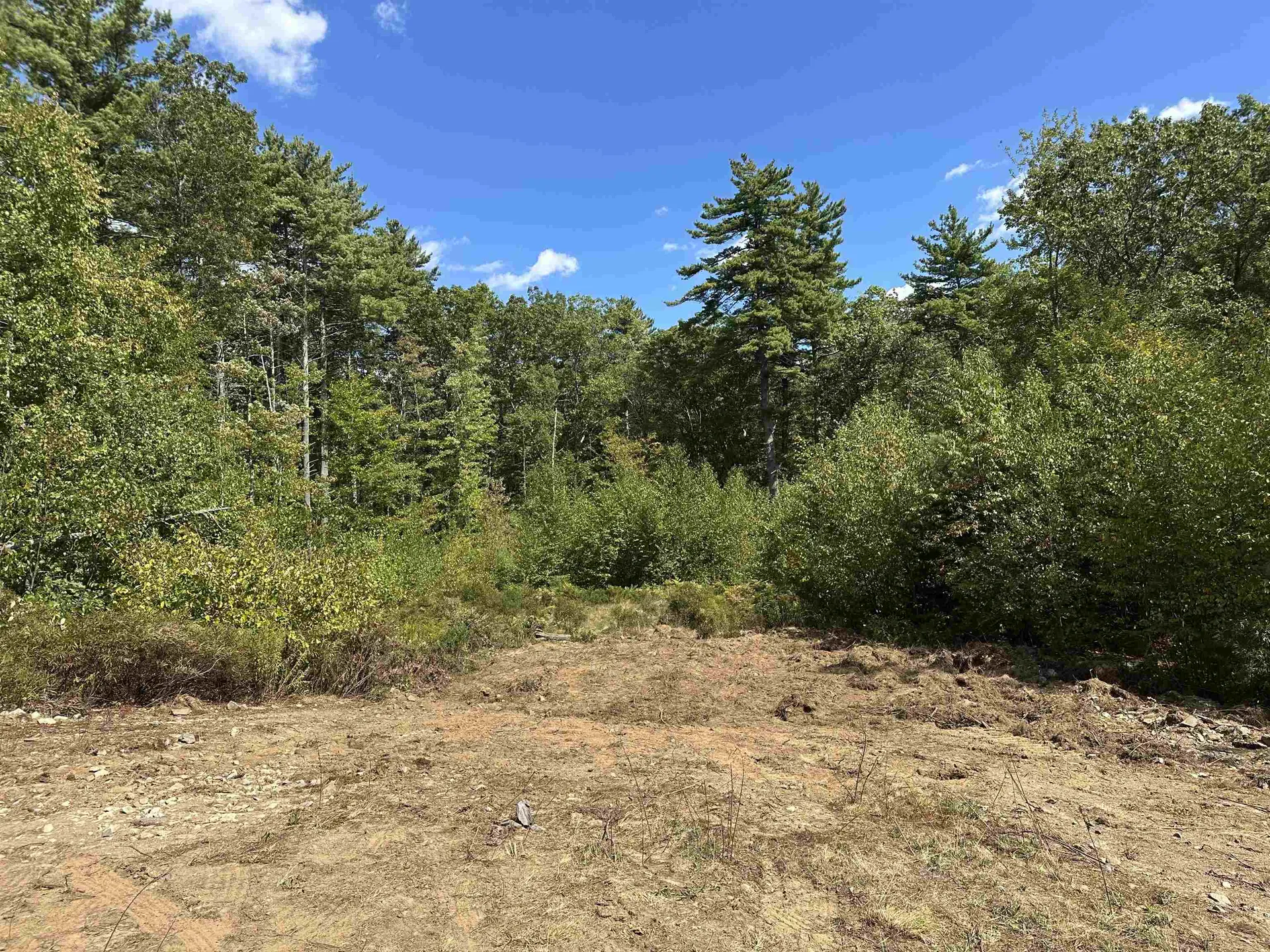 58 Boxwood Drive Auburn NH 03032