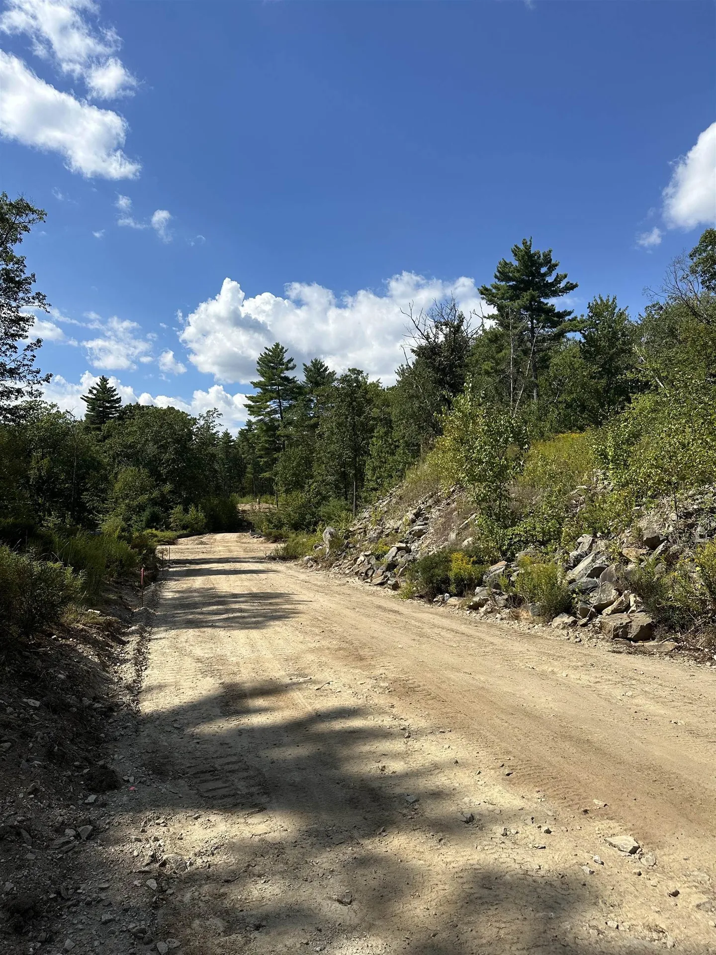 58 Boxwood Drive Auburn NH 03032