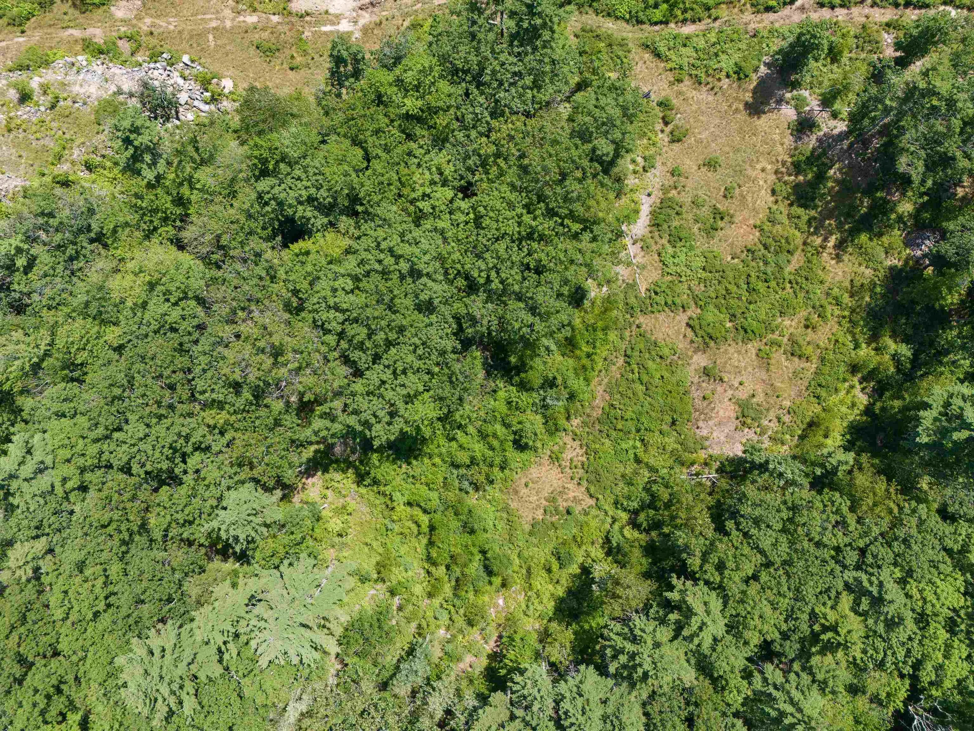 58 Boxwood Drive Auburn NH 03032