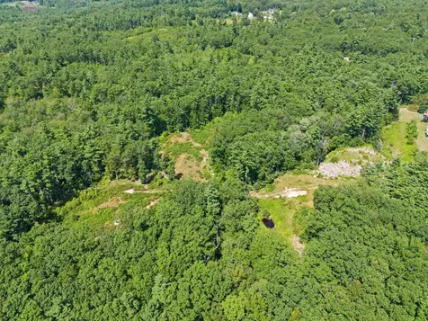 58 Boxwood Drive Auburn NH 03032