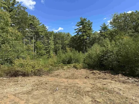 58 Boxwood Drive Auburn NH 03032