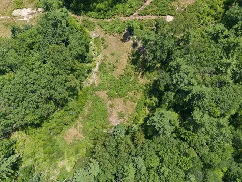 58 Boxwood Drive Auburn NH 03032