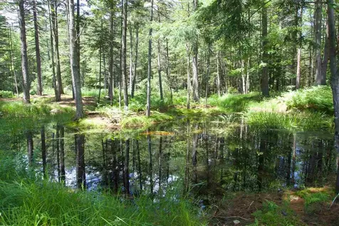 2 Mountainside Drive Sutton NH 03260