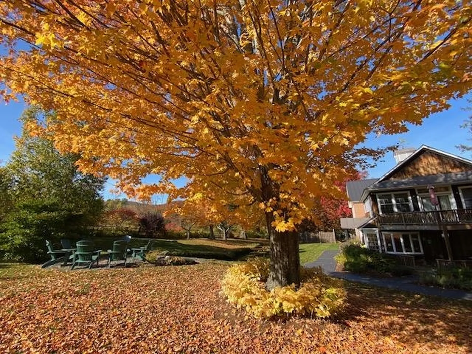 5518 Vt Route 12 Barnard VT 05031