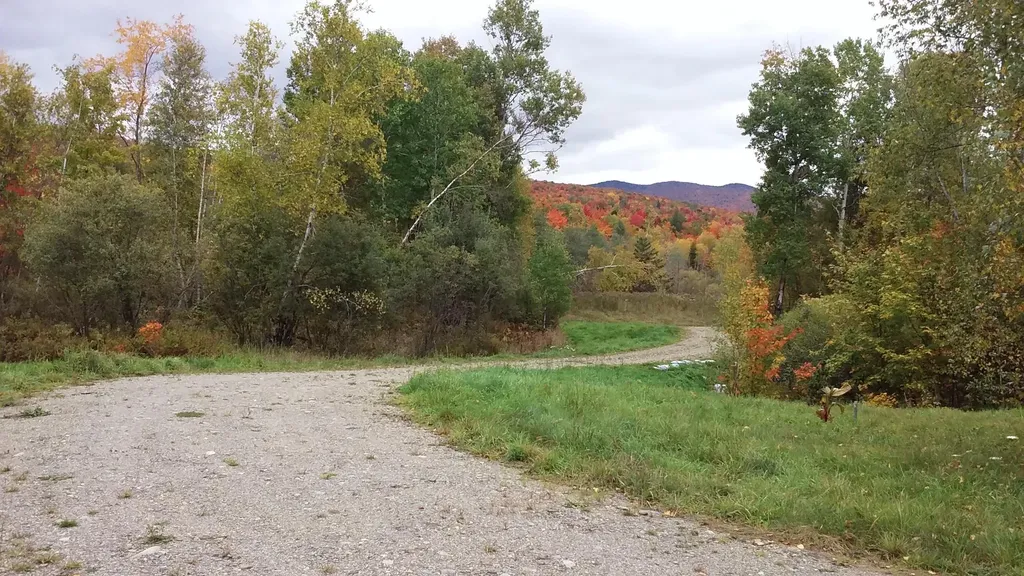 - Hannah Clark Brook Road Montgomery VT 05471