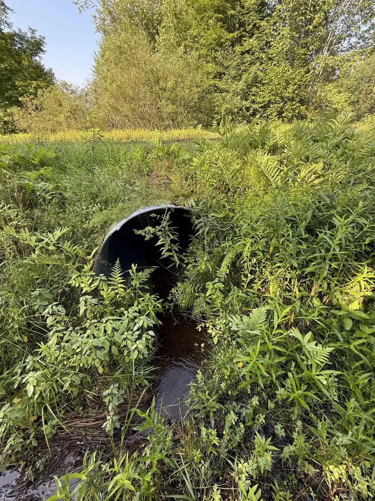 - Hannah Clark Brook Road Montgomery VT 05471