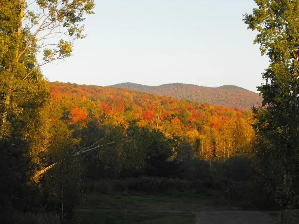 - Hannah Clark Brook Road Montgomery VT 05471