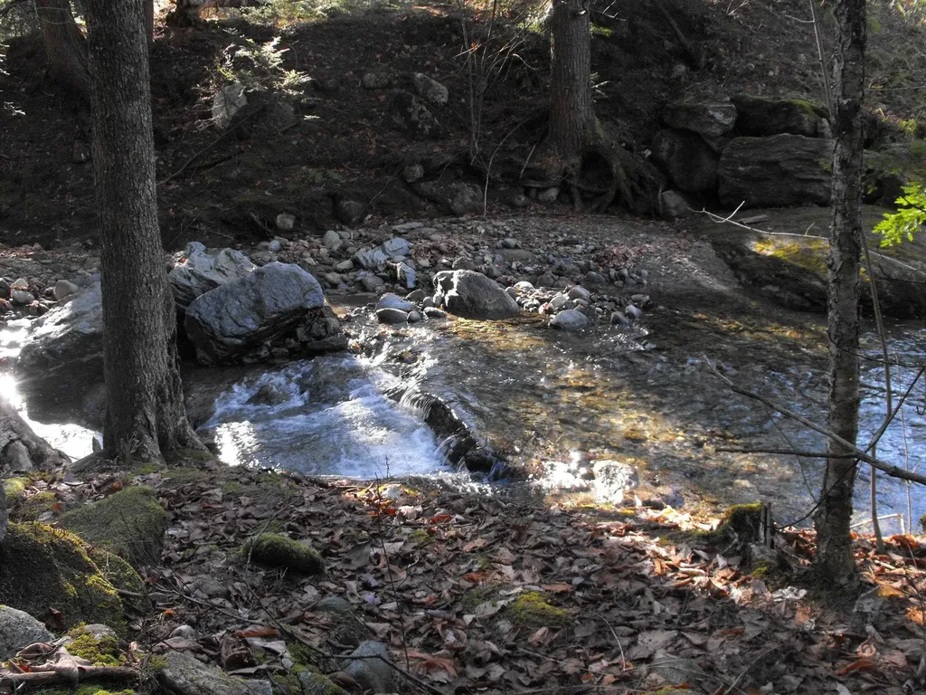 - Hannah Clark Brook Road Montgomery VT 05471