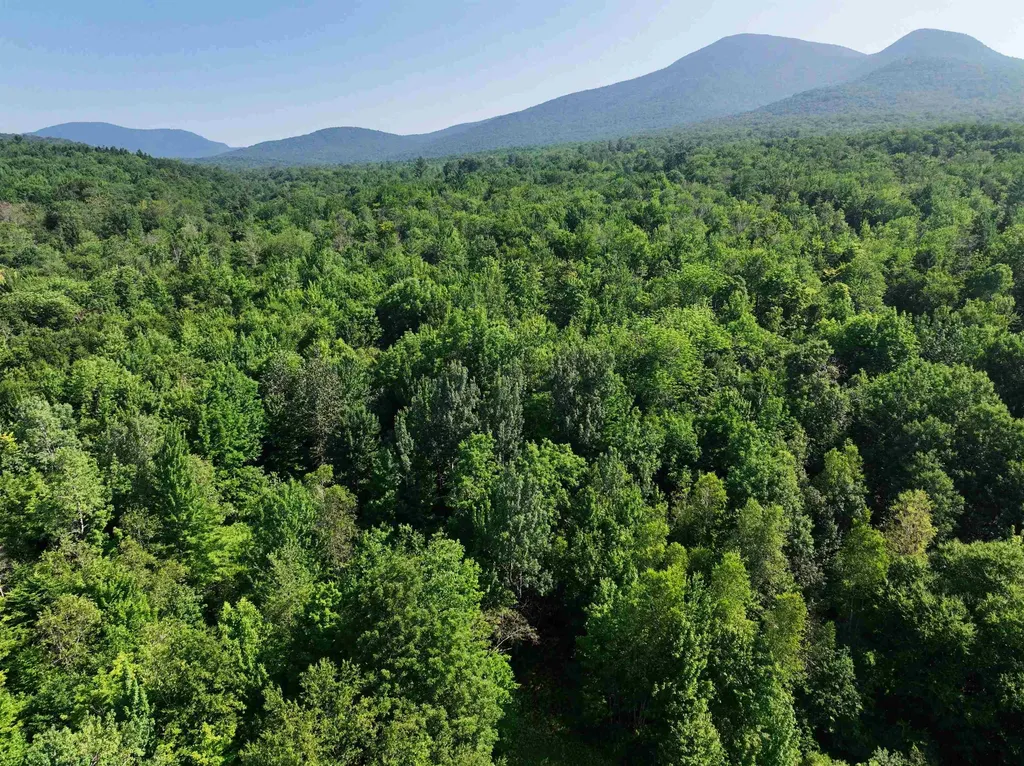 - Hannah Clark Brook Road Montgomery VT 05471