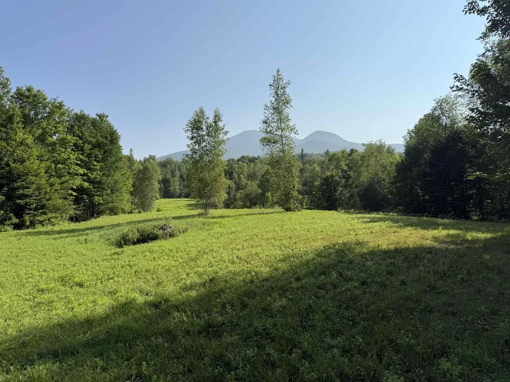 - Hannah Clark Brook Road Montgomery VT 05471