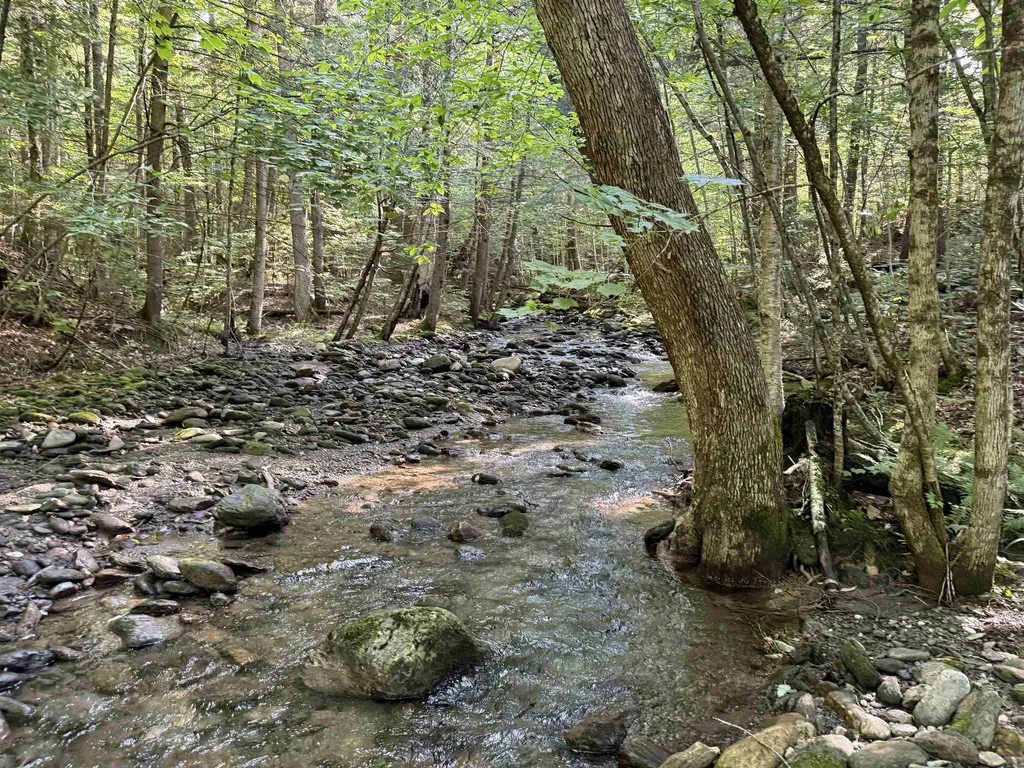 - Hannah Clark Brook Road Montgomery VT 05471