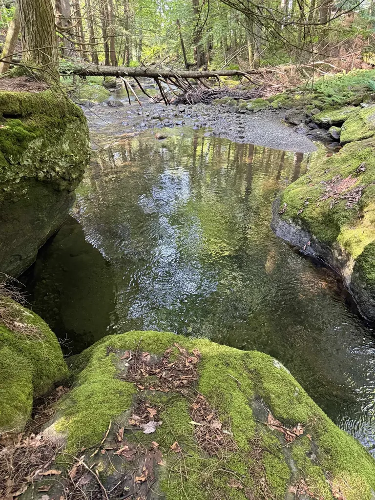 - Hannah Clark Brook Road Montgomery VT 05471