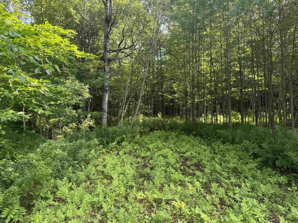 - Hannah Clark Brook Road Montgomery VT 05471