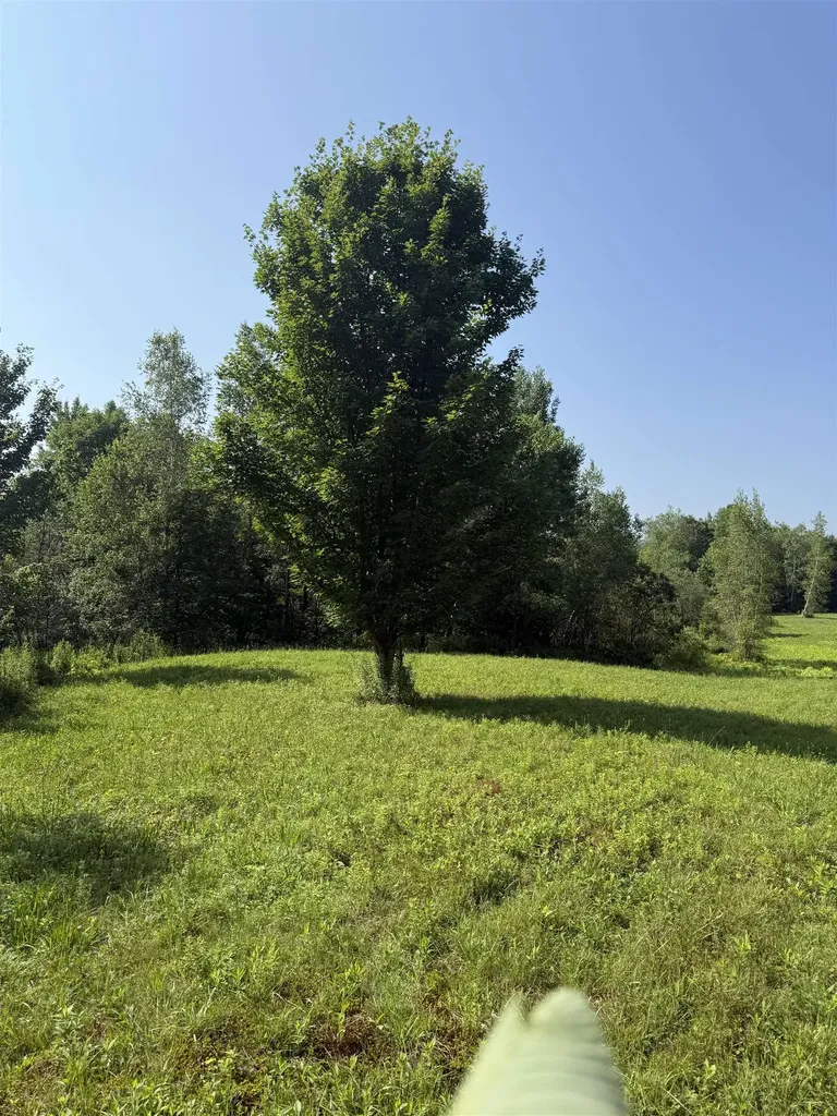 - Hannah Clark Brook Road Montgomery VT 05471