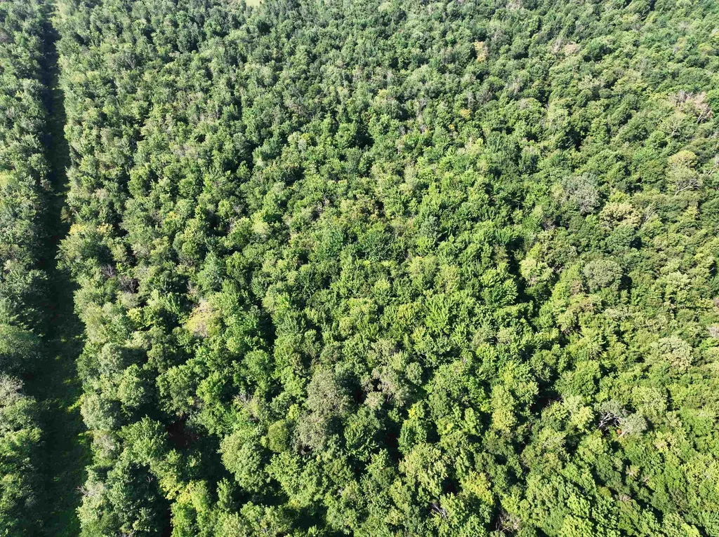 - Hannah Clark Brook Road Montgomery VT 05471