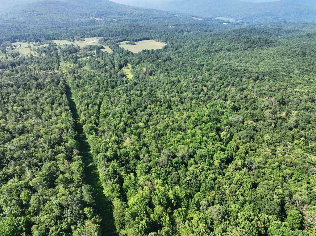 - Hannah Clark Brook Road Montgomery VT 05471