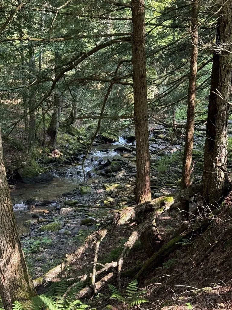 - Hannah Clark Brook Road Montgomery VT 05471