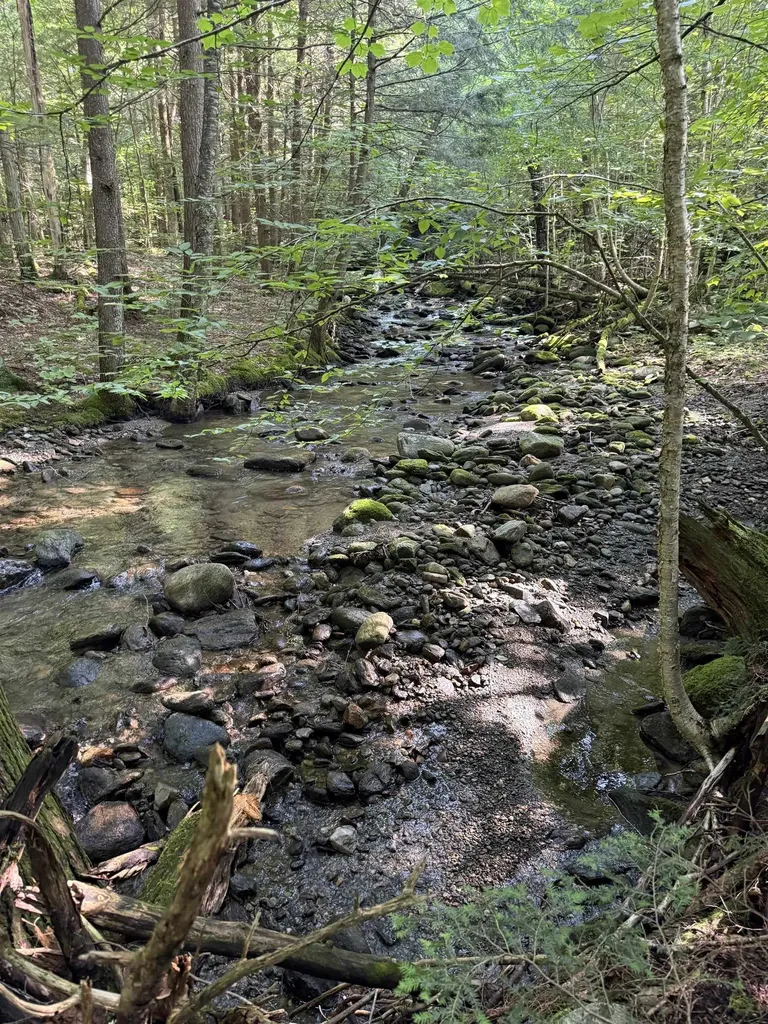 - Hannah Clark Brook Road Montgomery VT 05471