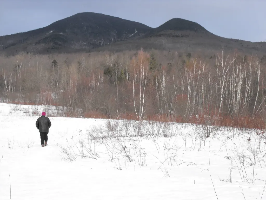 - Hannah Clark Brook Road Montgomery VT 05471