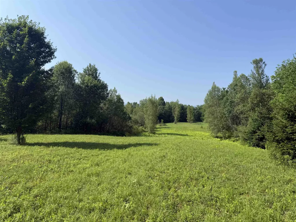 - Hannah Clark Brook Road Montgomery VT 05471