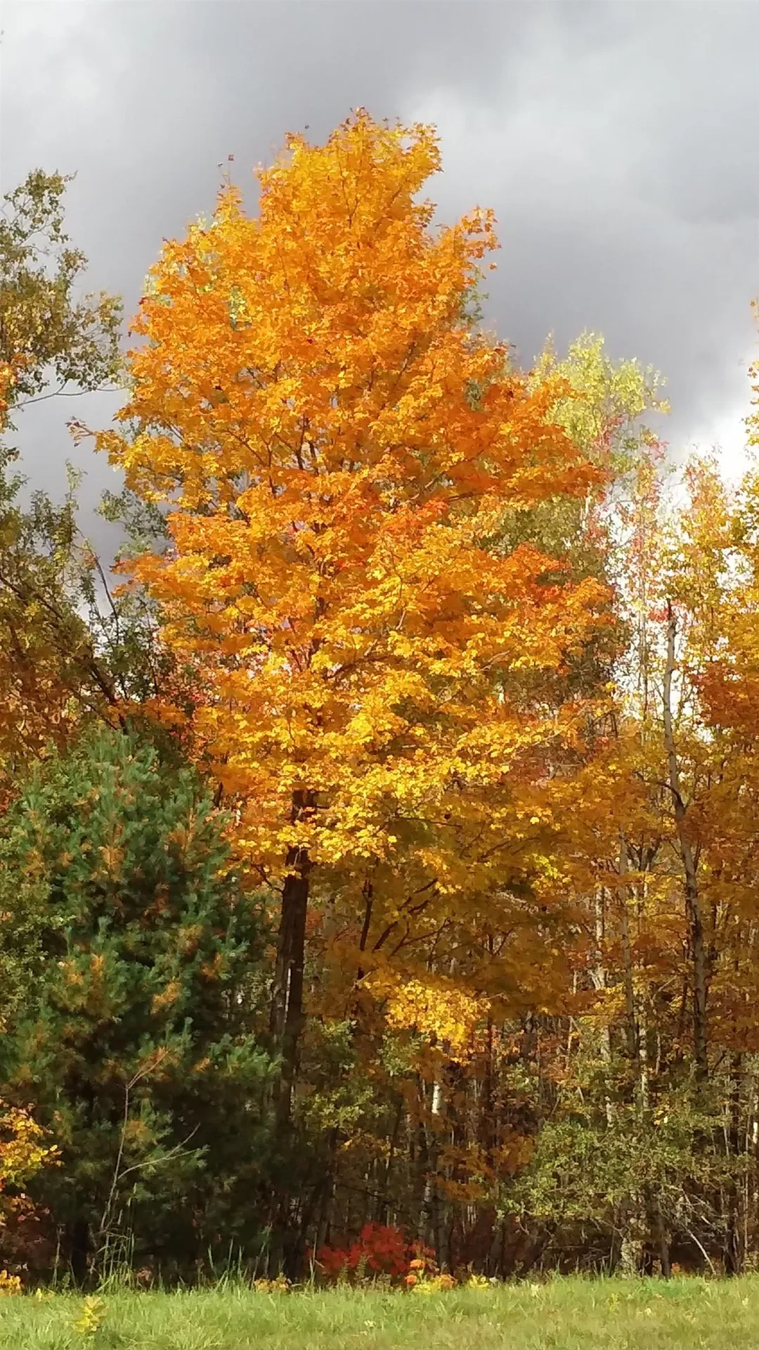 - Hannah Clark Brook Road Montgomery VT 05471