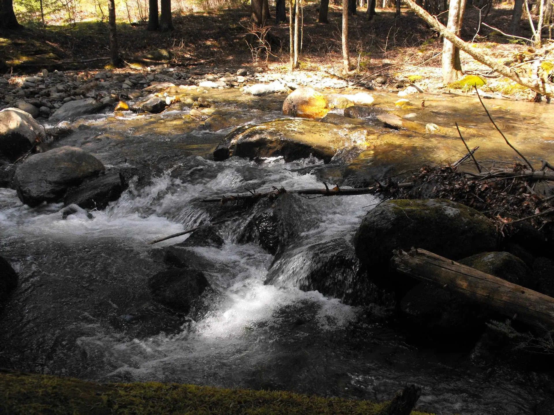 - Hannah Clark Brook Road Montgomery VT 05471