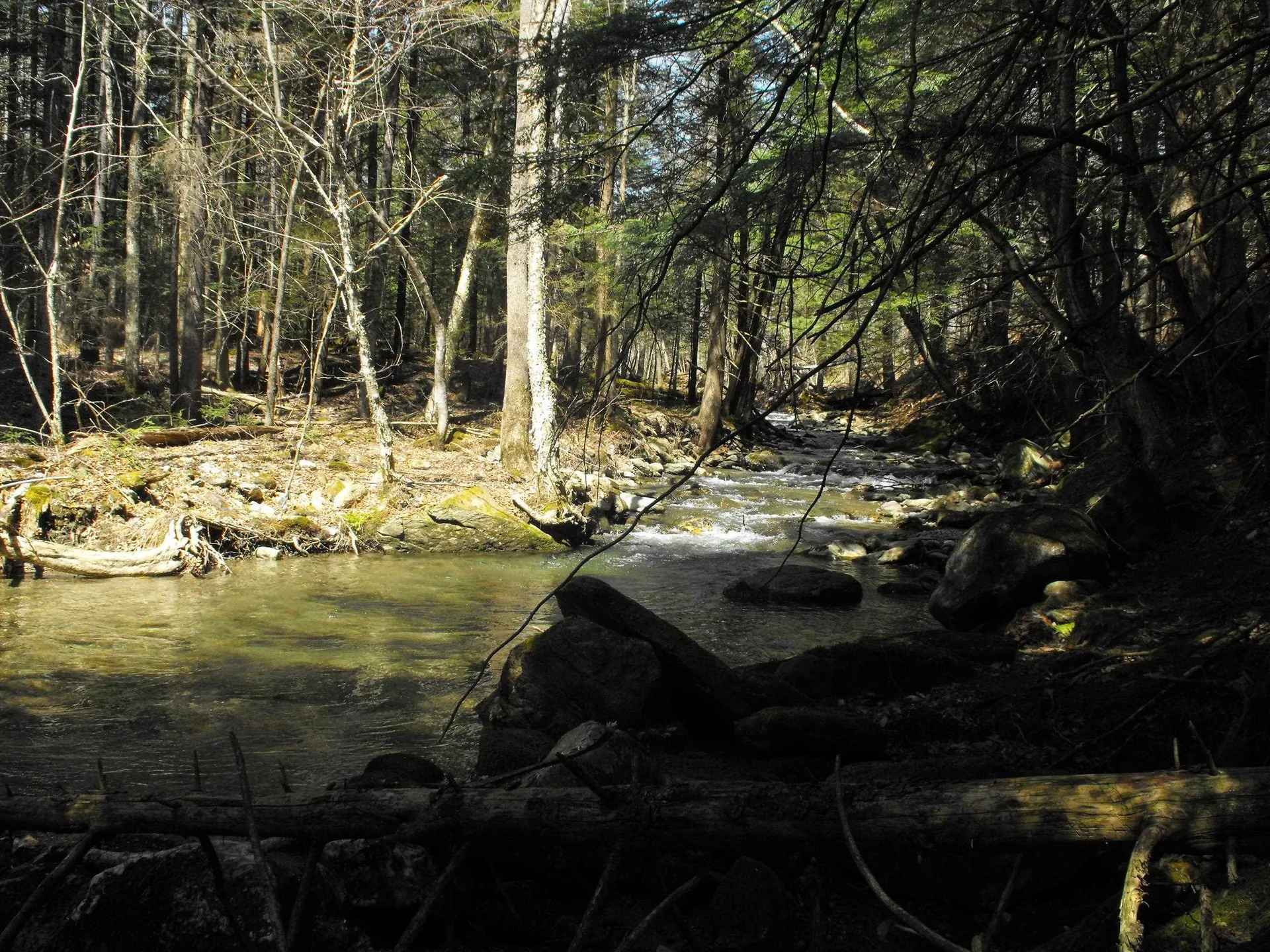 - Hannah Clark Brook Road Montgomery VT 05471