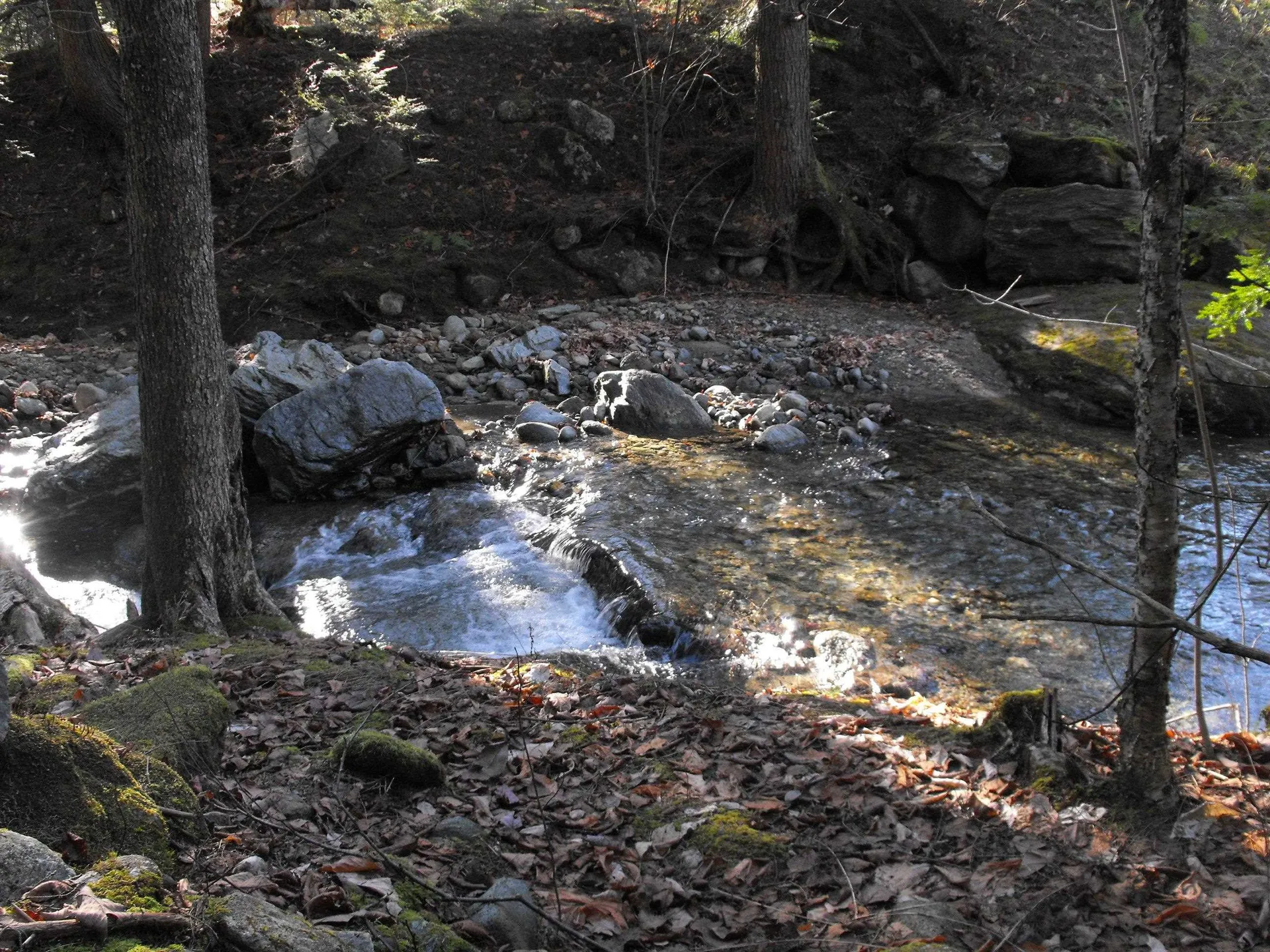 - Hannah Clark Brook Road Montgomery VT 05471