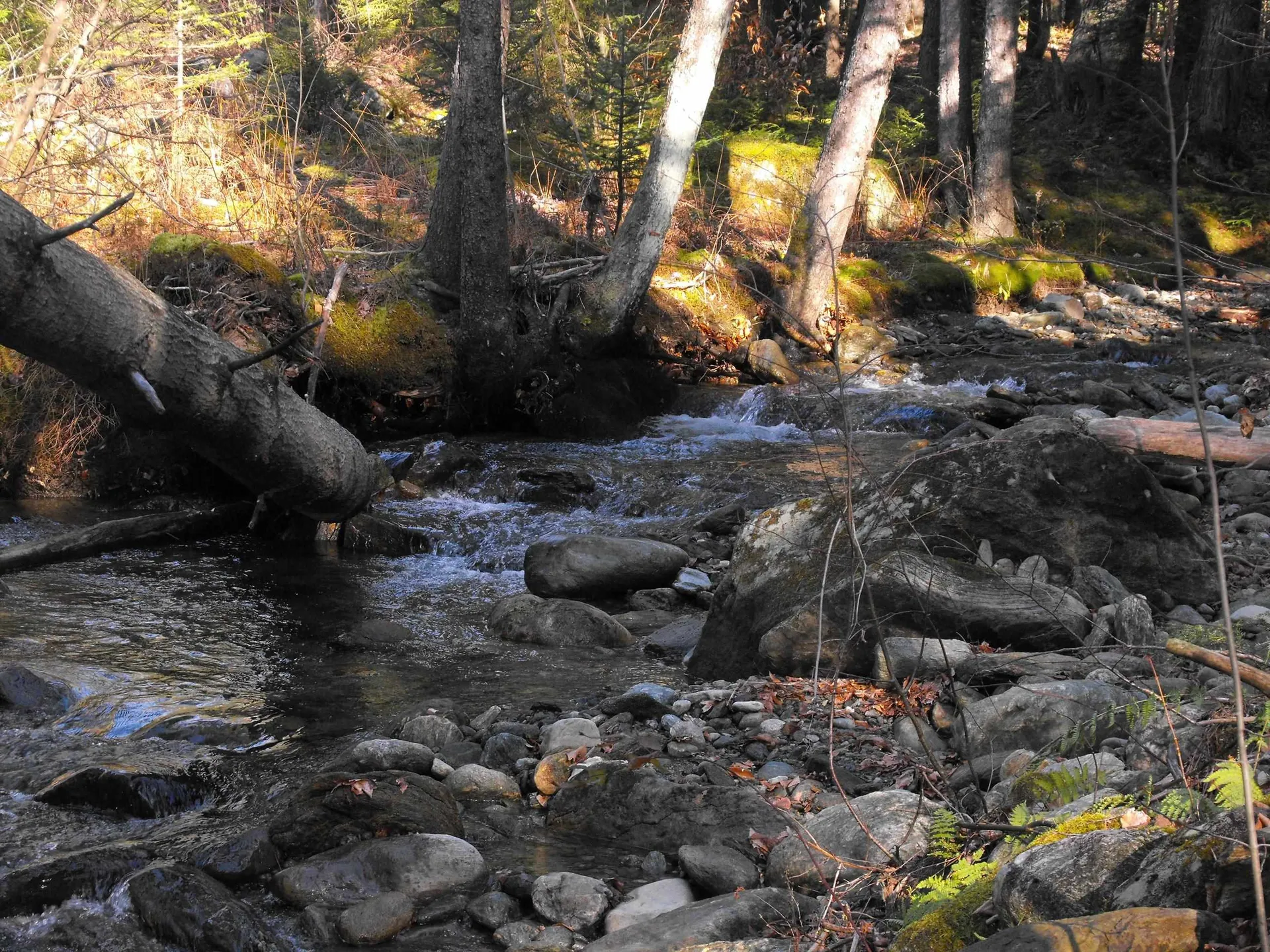 - Hannah Clark Brook Road Montgomery VT 05471