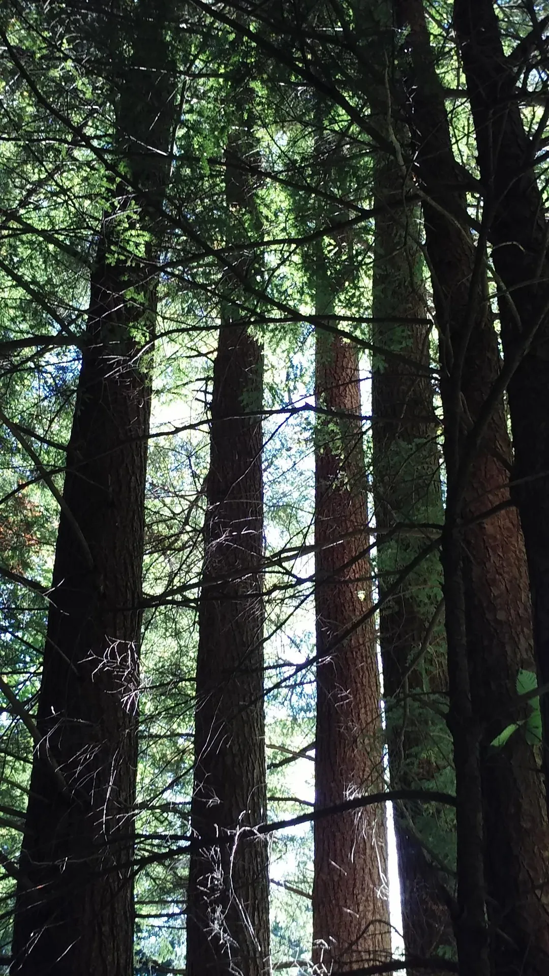 - Hannah Clark Brook Road Montgomery VT 05471