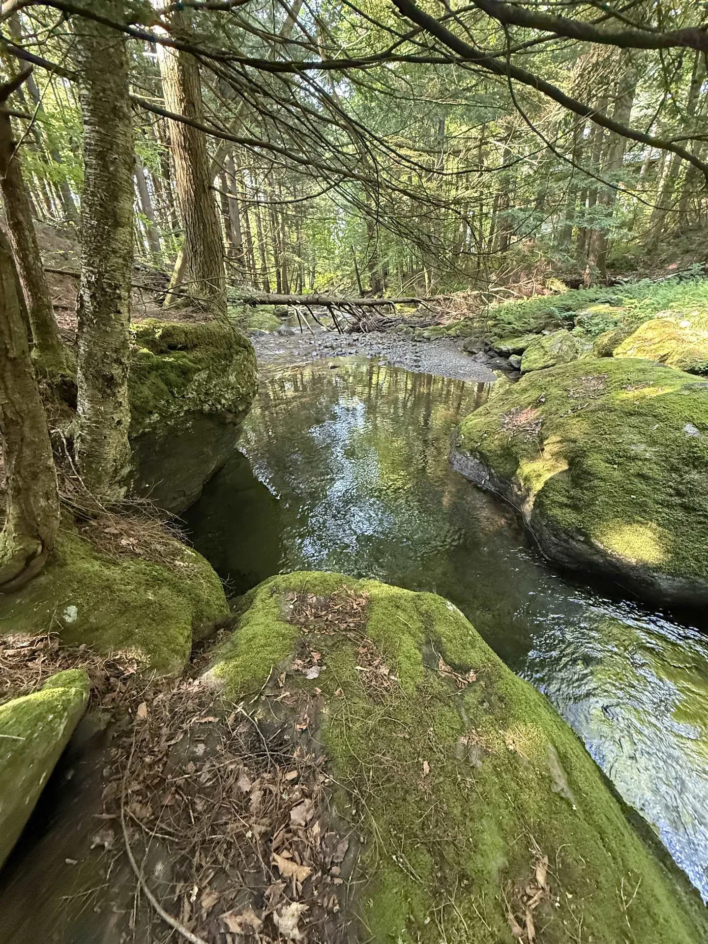 - Hannah Clark Brook Road Montgomery VT 05471