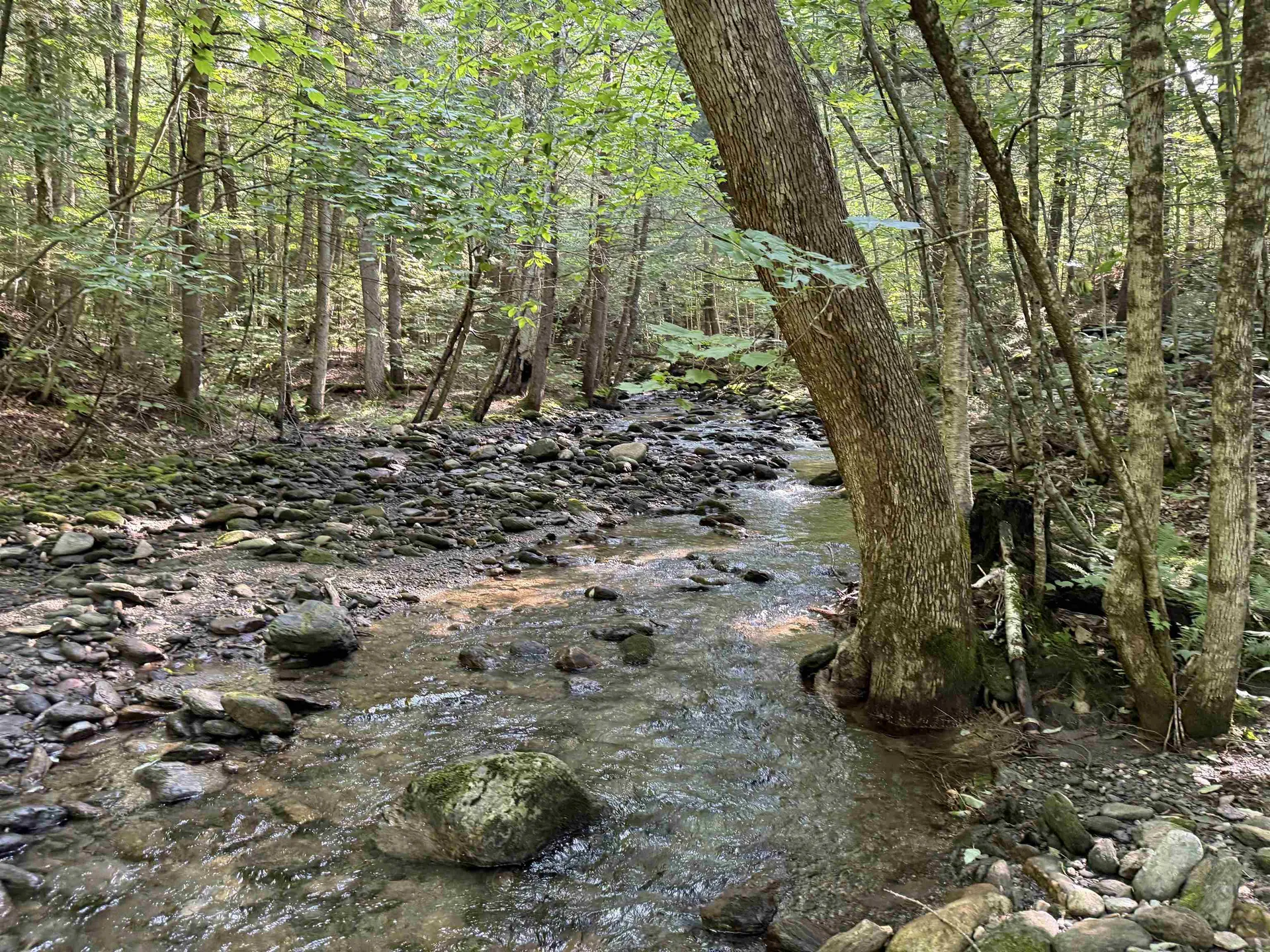 - Hannah Clark Brook Road Montgomery VT 05471