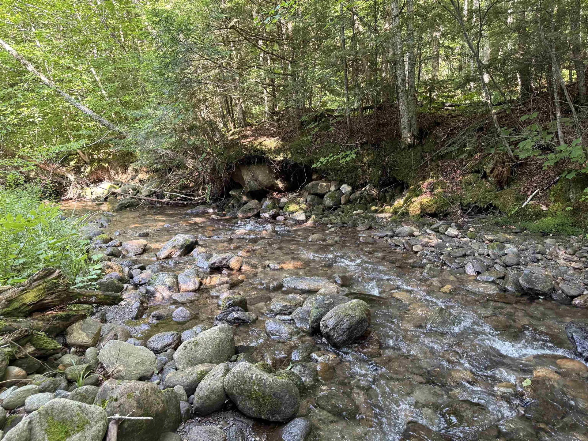 - Hannah Clark Brook Road Montgomery VT 05471