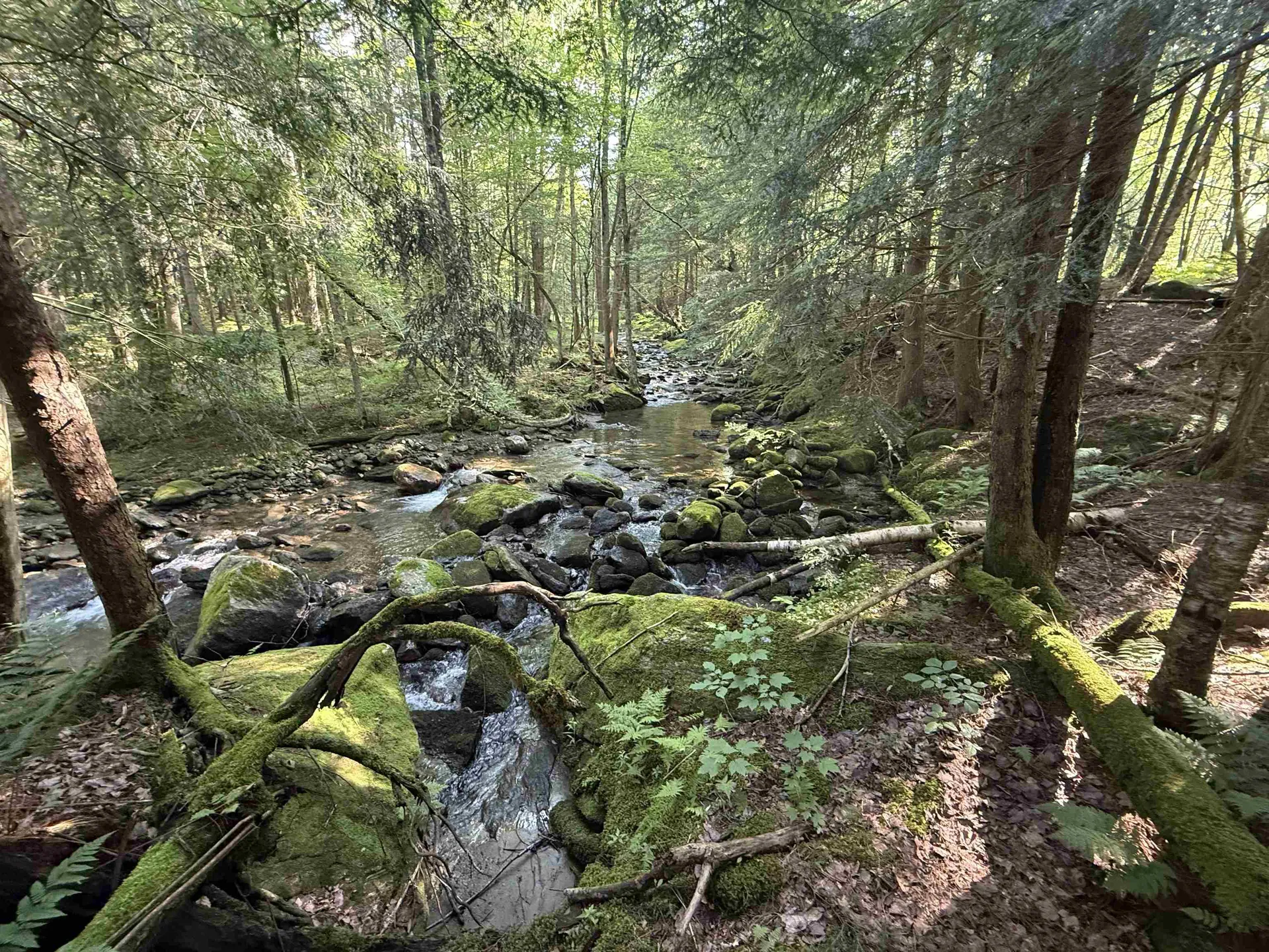 - Hannah Clark Brook Road Montgomery VT 05471