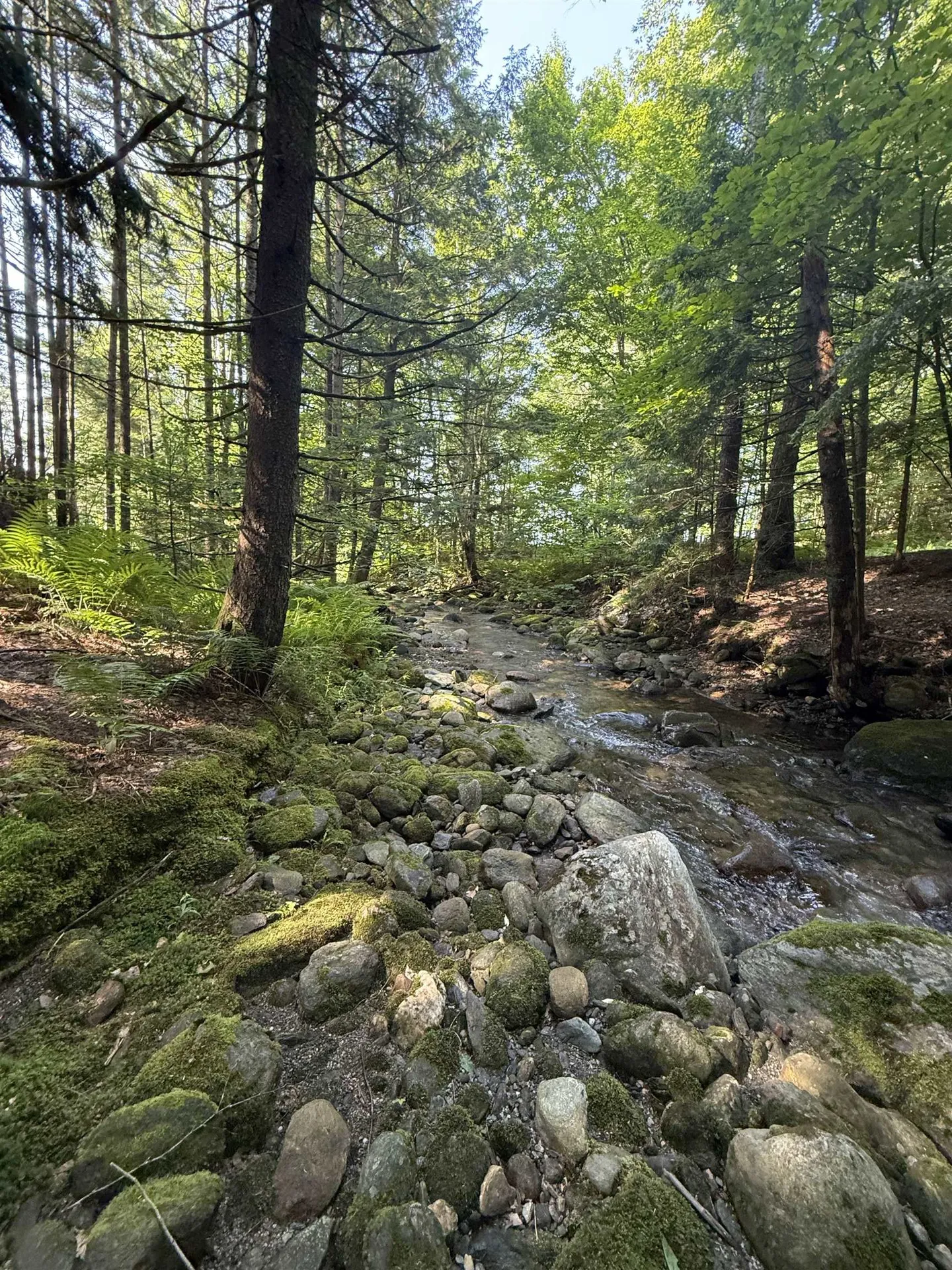 - Hannah Clark Brook Road Montgomery VT 05471