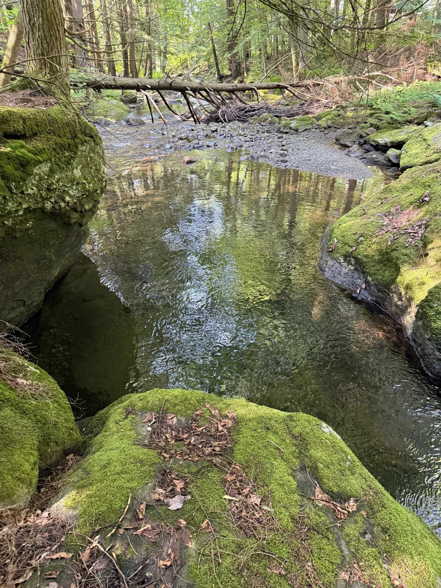 - Hannah Clark Brook Road Montgomery VT 05471