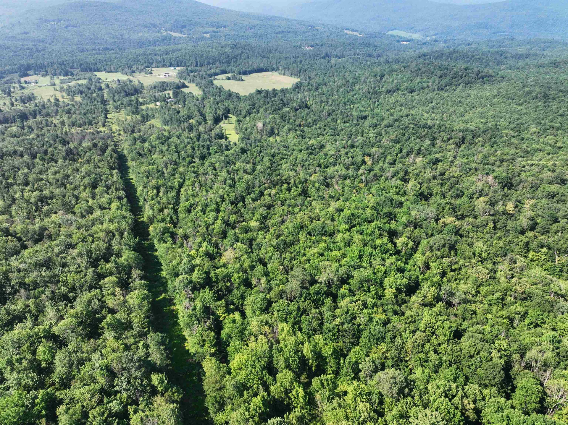 - Hannah Clark Brook Road Montgomery VT 05471